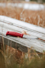 Load image into Gallery viewer, Morakniv Garberg