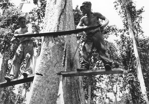The bushmen of the RNZAF Islands Works Sawmill units, WW2.